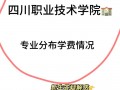 四川天府职业技术校，四川天府职业信息学院