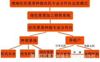 合作社经营模式模拟_合作社的经营模式有几种?你都知道吗?