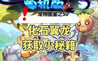 tcg卡牌商店模拟器怎么放桌子，安卓tcg卡牌游戏