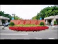 四川德阳成人大学-德阳成人专科本科学历教育？