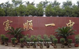 富顺两校职业技术学校_富顺两校职业技术学校幼儿保育所对应的大学