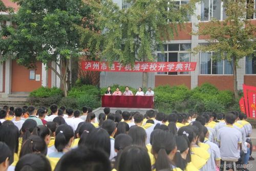 泸州市电子机械学校地址_四川省泸州市泸县电子机械学校-第1张图片-职教招生网 泸州市电子机械学校地址_四川省泸州市泸县电子机械学校-第1张图片-职教招生网