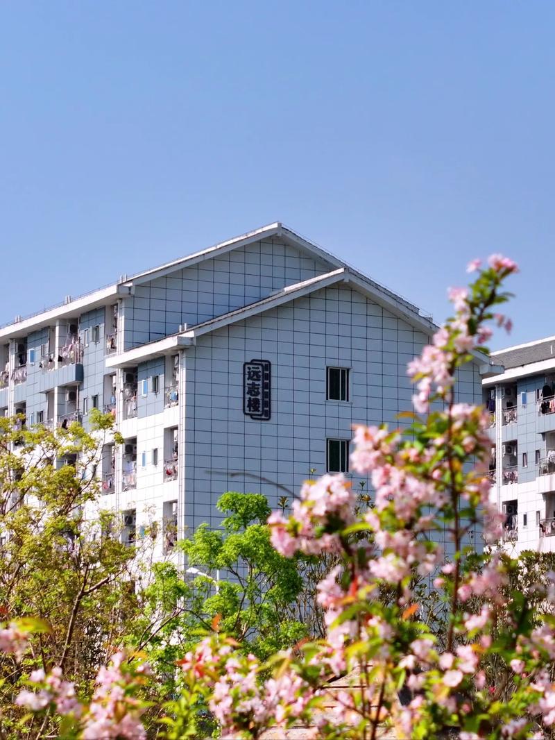 四川达州中医药职业学校怎么样,达州中医药职业学院好不好?-第5张图片-职教招生网 四川达州中医药职业学校怎么样,达州中医药职业学院好不好?-第5张图片-职教招生网