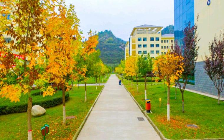 延安职业技术学校学院-延安职业技术学校学院官方网站?-第2张图片-职教招生网 延安职业技术学校学院-延安职业技术学校学院官方网站?-第2张图片-职教招生网