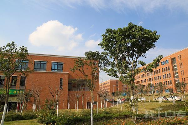 成都五月花高级技工学校官方网站_成都五月花技师学院图片-第2张图片-职教招生网 成都五月花高级技工学校官方网站_成都五月花技师学院图片-第2张图片-职教招生网