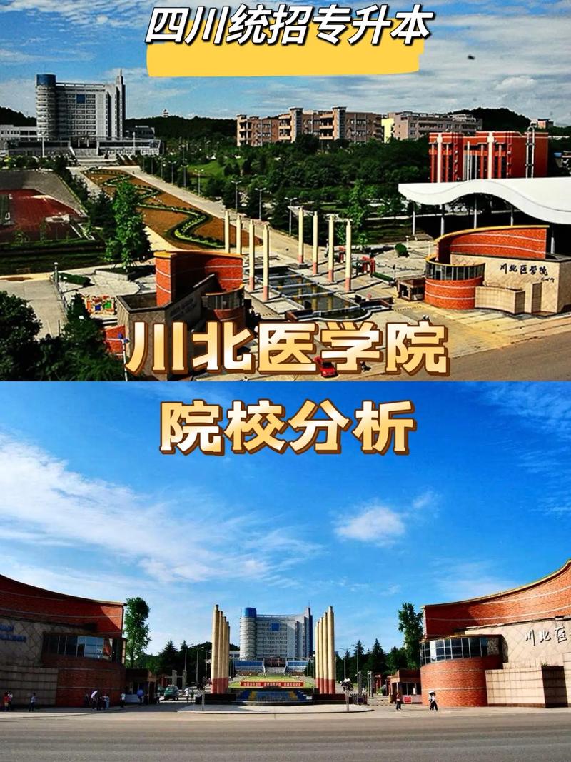 川北医学院和成都医学院,川北医学院和成都医学院考研哪个更容易-第2张图片-职教招生网 川北医学院和成都医学院,川北医学院和成都医学院考研哪个更容易-第2张图片-职教招生网