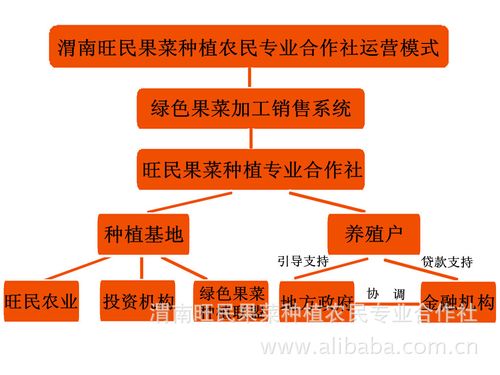 合作社经营模式模拟_合作社的经营模式有几种?你都知道吗?-第1张图片-卡牌商店 合作社经营模式模拟_合作社的经营模式有几种?你都知道吗?-第1张图片-卡牌商店