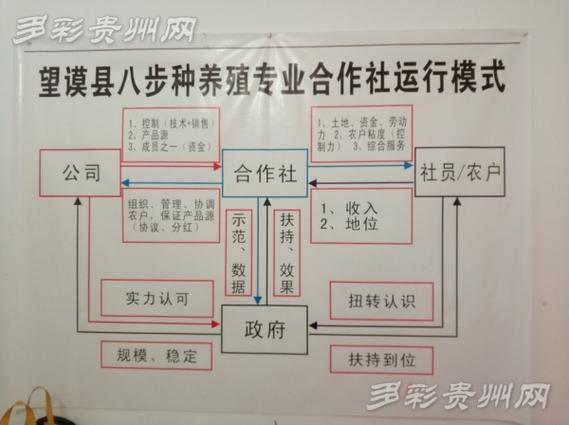 合作社经营模式模拟_合作社的经营模式有几种?你都知道吗?-第4张图片-卡牌商店 合作社经营模式模拟_合作社的经营模式有几种?你都知道吗?-第4张图片-卡牌商店